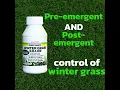 Download Lagu Winter Grass Killer Promo 2 Video 1080 x 1080 px