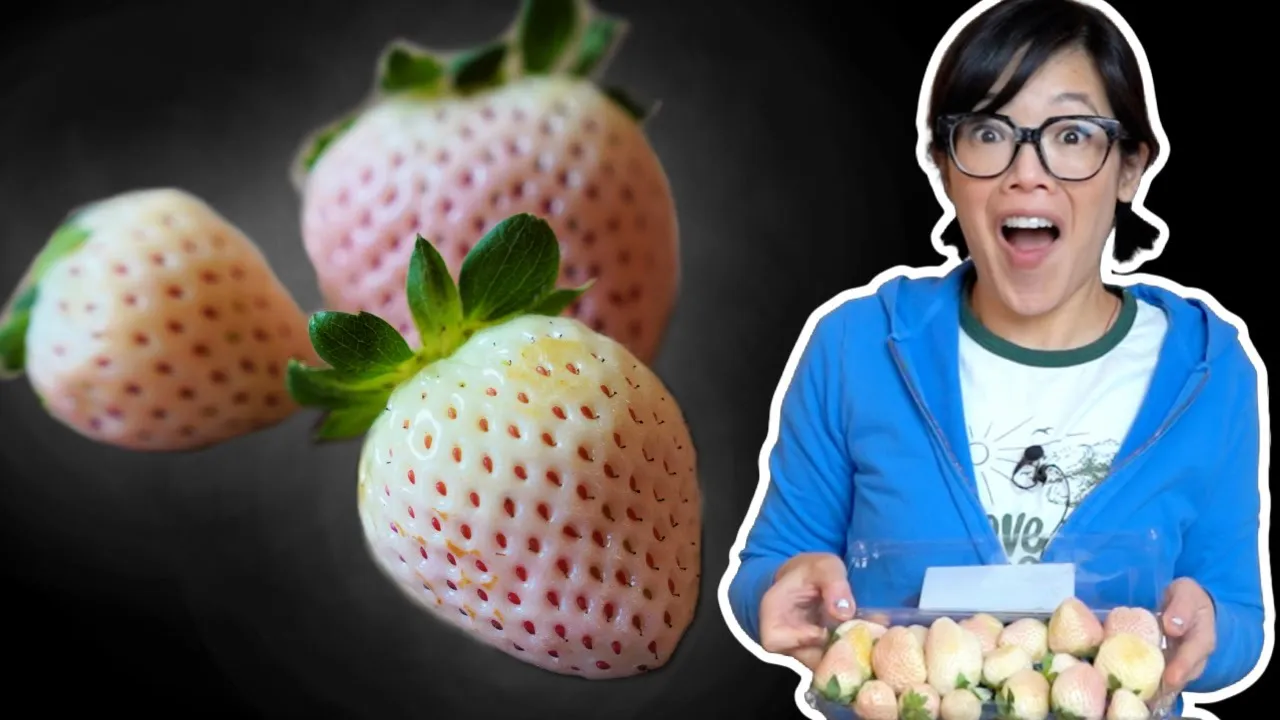 Pineberries   Fruity Fruits Taste Test