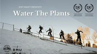 water the plants