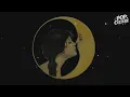 Zoé - Luna (En Vivo) (LYRICS)