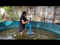 Download Lagu GAK ENEK PAK DIK TETEP JALAN BUOS ALIAS TAK UBEK DEWE😂