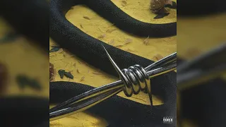 Rockstar [Remix] - Post Malone (feat. 21 Savage, Nicki Minaj, Joey Bada$$ \u0026 Lil Wayne)