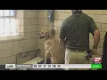 Pa Dept of Corrections to implement 45 new bodycams