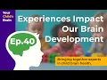 Experiences Impact Our Brain Development Your Child s Brain