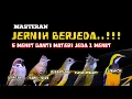 Download Lagu 2 jam Masteran kombinasi JERNIH BERJEDA tiap 5 menit ganti materi jeda 1 menit
