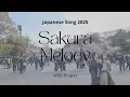 Download Lagu Sakura Melody - WSB Project ( lagu jepang enak didengar kekinian dengan terjemahan romaji )