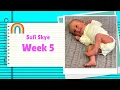 Life and Adventures of Sofi Skye Week 5