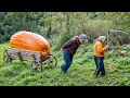 Download Lagu 85-Year-Old Grandmother's Traditional Life \u0026 Secret Family Recipe in Remote Mountains