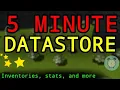 How to make a DataStore Script in 5 Minutes Roblox Studio