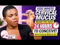Egg White Cervical Mucus Means You Have 24 Hours to Conceive - Here s Exactly What to Do