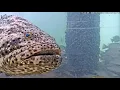 Live Cam in The Lower Keys