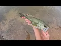 Pelican Strike 100 NXT Kayak Fishing
