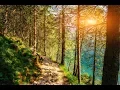 Download Lagu GOOD MORNING MUSIC 528Hz 💖 Positive Energy  ➤Have The Best Day - Morning Meditation music