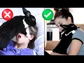 PROS CONS Of Having a Rabbit