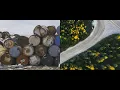 Download Lagu CØLIBRI - Kuujjuaq (Official Video)