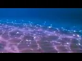 MajorNine- whats love (slowed+reverb)