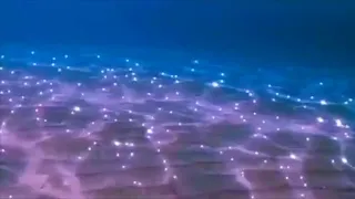 majornine whats love slowed reverb 