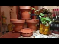 Unboxing Plant Pots From Amazon