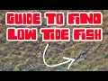 HOW TO Find LOW TIDE Inshore FISH - Tampa Bay Fishing