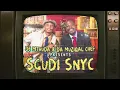 De Mthuda Da Muziqal Chef Eemoh  Sgudi Snyc Visualizer ft Sipho Magudulela