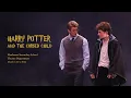 Harry Potter and the Cursed Child High School Edition