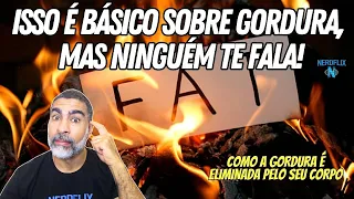 Como a gordura é perdida e para onde ela vai