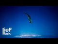 DeeB - Speak In Colours