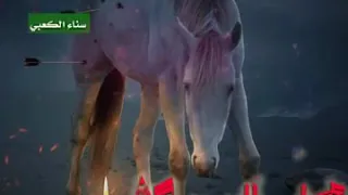انى الميمون  الحاج باسم الكربلائي   دندنها