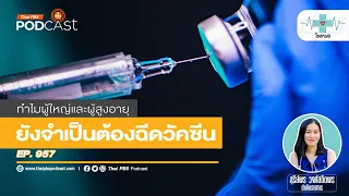 วัคซีนไข้เลือดออกสำหรับผู้ใหญ่มีกี่แบบและควรฉีดเมื่อไหร่