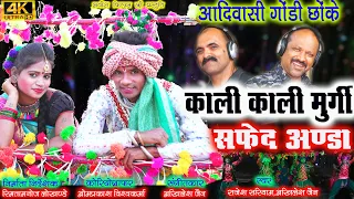  kali kali murgi safed anda aadivasi cchoke