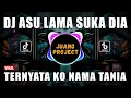 Download Lagu DJ ASU LAMA SUKA DIA TANIA VIRAL TIKTOK TERBARU 2023