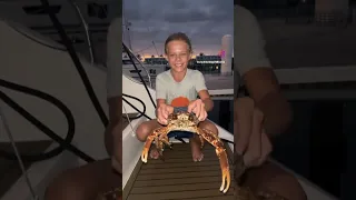 Caught a lobster in the Bahamas #berryislands #lobster #spearfishing #livingonaboat #sailing #sail