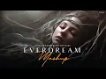 Download Lagu Everdream Mashup | Emotion Chillout | Palak Muchhal | Sanam Teri Kasam | Vishal | BICKY OFFICIAL