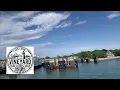 The Growing Impact of Ticks on Martha s Vineyard