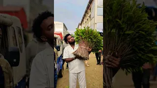 New Oromo Music Ibroo Ibsaa Harargee Too Duet 