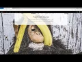 26 Graylog 3 1 New Features