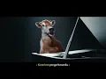 Download Lagu 2 MENIT! IKLAN SASA SANTAN X SAPI