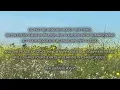 making songs with GOD [live acoustic/vocals & scripture] - feat. "Jesus We Love You", "Nothing Else"
