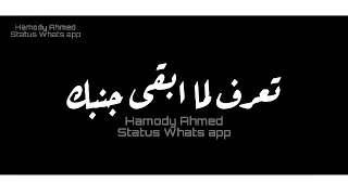 اغنيه مكنتش عايزه احبك ليه اتعلقت بيك حاله واتس دندنها