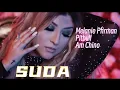 SUDA, Alternate Version, Melanie Pfirman, Pitbull,  Am Chino, (Deluxe) Hollywood Video Songs...