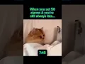 Download Lagu when no amount of alarms help... #funny #memes #cats