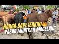 Download Lagu ‼️HARGA SAPI TERKINI‼️ PASAR MUNTILAN🔥🔥