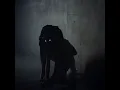 Download Lagu radiohead - a wolf at the door (slowed + reverb)