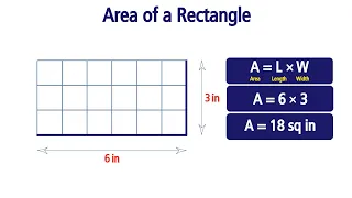 Area of a Rectangle Grade 3