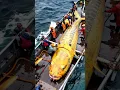 Download Lagu GIANT brightly colored sea creature caught by fishermen🐟🌊