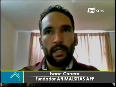 Identificador de mascotas a través de código QR