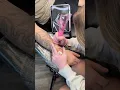 Pet bird tattoo ideas