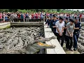 Download Lagu Rúng Động An Giang: Bí Ẩn Cá Sấu Ăn Thịt Người Và Màn Vạch Trần Đường Dây Tội Ác Kinh Hoàng