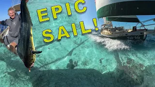 Epic Sail in the clearest water with the largest fish yet!  |  Ep141