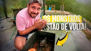 SOLTANDO OS MONSTRINHOS NO LAGO NOVO !
